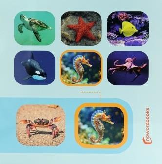 Busca y encuentra: Animales marinos | NoWordBooks | Cooperativa autogestionària