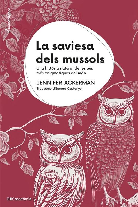 La saviesa dels mussols | Ackerman, Jennifer | Cooperativa autogestionària