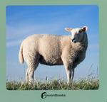 Animales de la granja | Nowordbooks | Cooperativa autogestionària