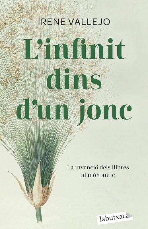 L'infinit dins d'un jonc | Vallejo, Irene | Cooperativa autogestionària