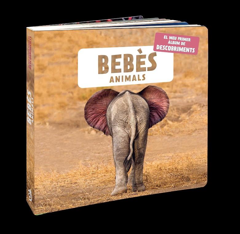 Bebès animals | Naturagency | Cooperativa autogestionària