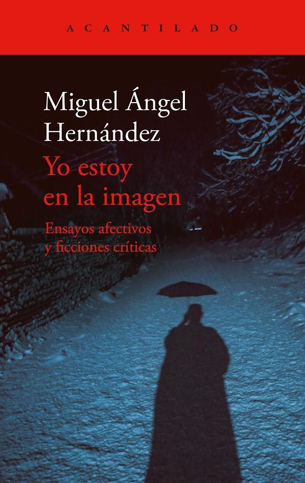 Yo estoy en la imagen | Hernández, Miguel Ángel