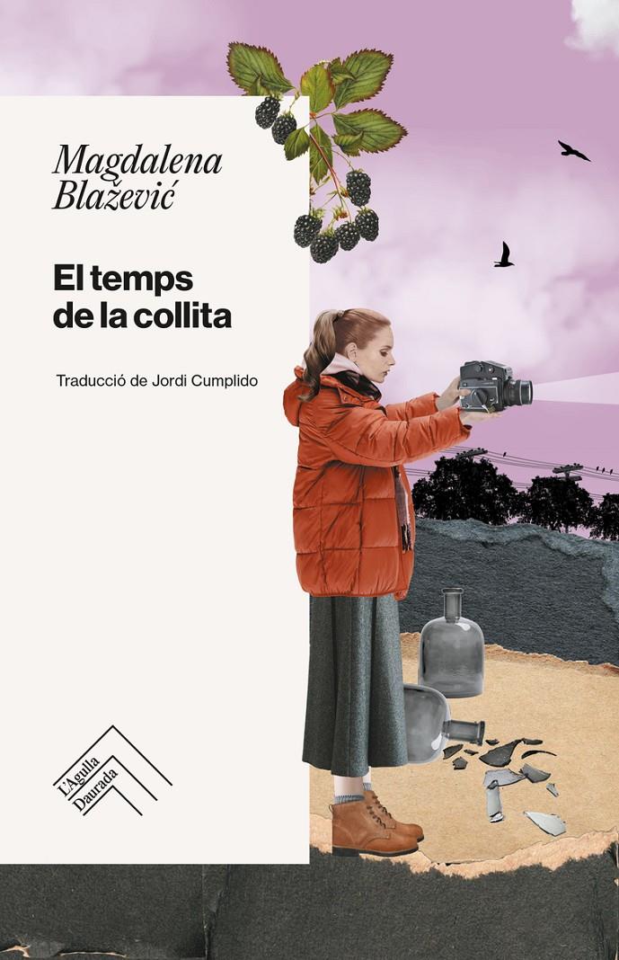 El temps de la collita | Blazevic, Magdalen