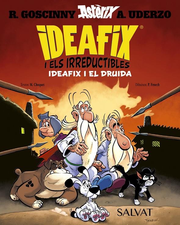 Ideafix i els irreductibles, 5. Ideafix i el druida | Goscinny, René/Choquet, Matthieu | Cooperativa autogestionària