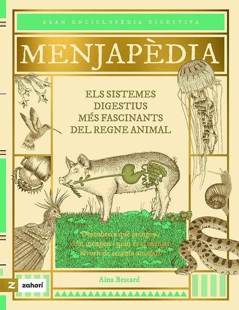 Menjapèdia | Aina Bestard | Cooperativa autogestionària