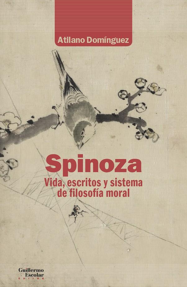 Spinoza | Domínguez Basalo, Atilano