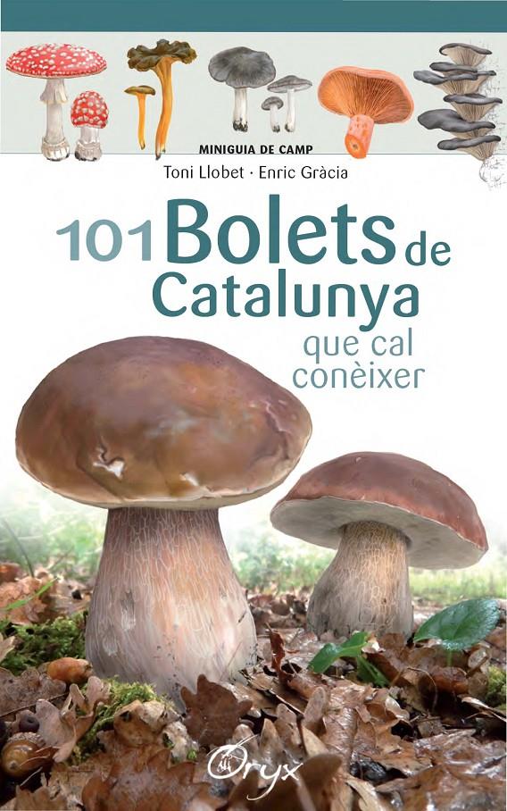 101 bolets de Catalunya | Llobet François, Toni/Gràcia, Enric | Cooperativa autogestionària