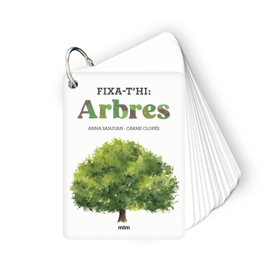 Fixa-t'hi: arbres | Sanjuan Llorens, Anna/Clopés, Carme | Cooperativa autogestionària