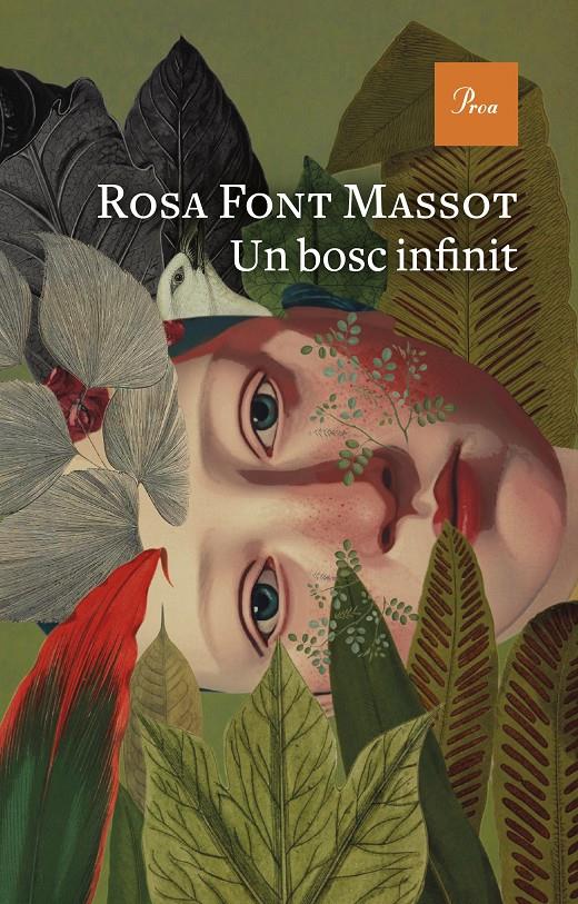 Un bosc infinit | Font Massot, Rosa | Cooperativa autogestionària